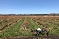 В Україні вперше застосували дрони для проведення посівної під час війни
