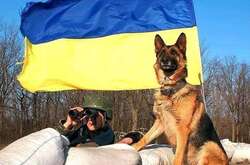 Наші чотирилапі проти москальських «псів»: як собаки та коти боронять Україну