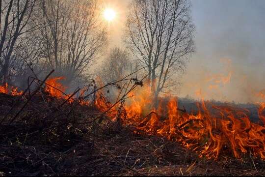 На Львівщині спалахнули пожежі через ракетні удари росіян