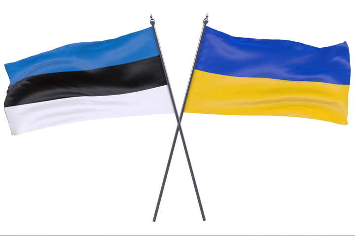 Естонія на законодавчому рівні заборонила підтримку агресії РФ проти України