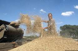  На Херсонщині розміщена  велика кількість зерносховищ  