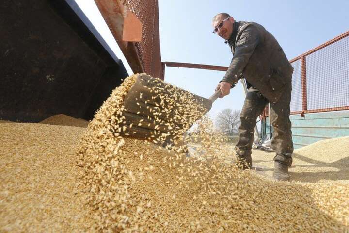 Окупанти масово грабують фермерів. Україна звернулась до ООН