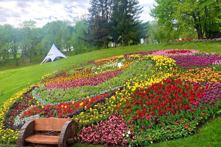На столичному Співочому полі розквітли тисячі тюльпанів (фото)