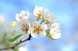 2 травня: яке сьогодні свято, прикмети і заборони