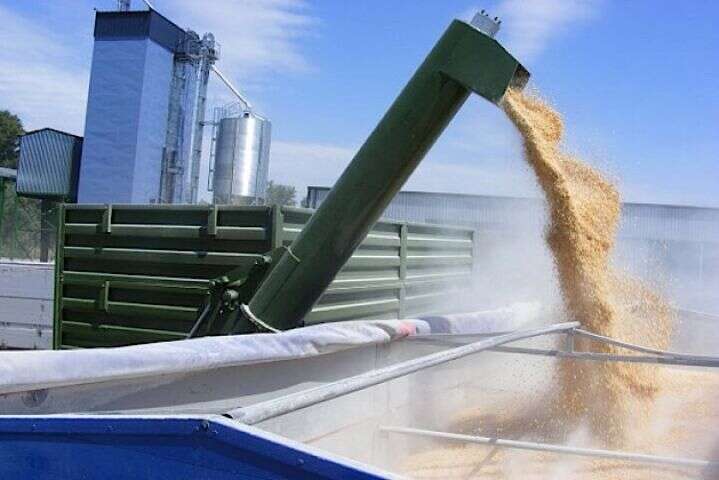 Росія намагалась продати Єгипту вкрадене українське зерно 