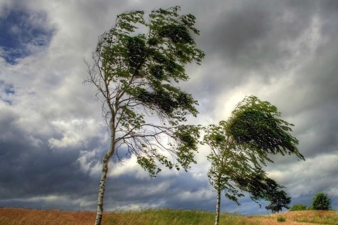 Вітер та приморозки: прогноз погоди в Україні на 5 травня