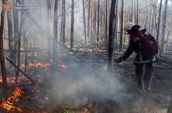 Пожежа в Чорнобильській зоні: гасіння вогню триває (фото)
