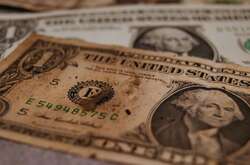 НБУ пояснив, як обміняти пошкоджені банкноти іноземних валют