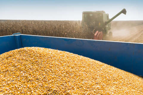 Україна вводить обмеження на вивіз сільгосппродукції