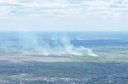 Після обстрілу Сумщини з боку Росії у лісі вирувала масштабна пожежа (відео)