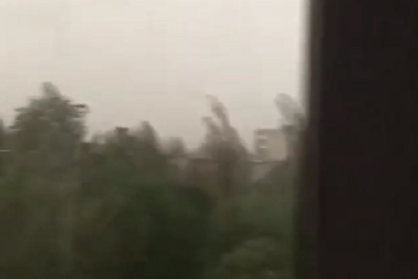 На Сумщині вирує буревій: зриває дахи і трощить дерева (відео)