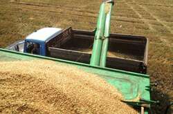 Від початку повномасштабного вторгнення Росія заблокувала в портах України близько 90 млн тонн зерна