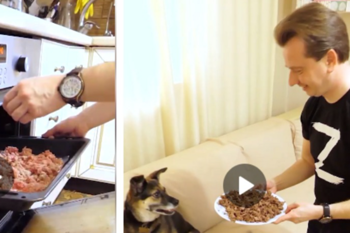 Депутат Держдуми вчить росіян варити собачий корм, бо купувати дорого (відео)