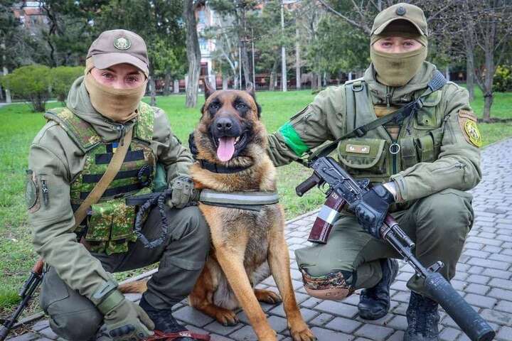 Російський пес перейшов на сторону ЗСУ та за місяць вивчив українську