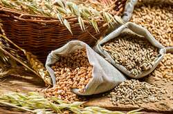 Через війну експорт зерна з України заблоковано