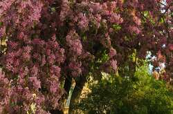 В Україну йде похолодання: де погіршиться погода