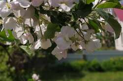 Синоптики оголосили I рівень небезпечності у дев'яти областях (карта)