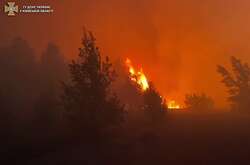 На Київщині виникло загорання лісової підстилки