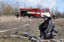  У Чорнобильській зоні відчуження сталась пожежа в Опачицькому лісництві 