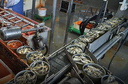 Російська рибна промисловість може залишитися без бляшанок, в які упаковуються консерви