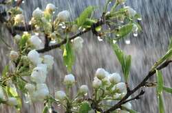 Потепління та дощі: прогноз погоди в Україні на 19 травня