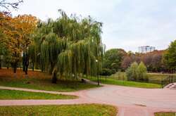 Влада столиці просить сьогодні не відвідувати парки у Дніпровському районі