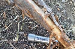 Пенсіонер підірвався, намагаючись розібрати касетний боєприпас 