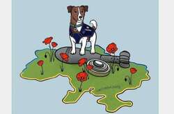 Милый пес-сапер Патрон в голосовании от Минцифры занял только второе место