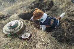 Патрон і його відважні колеги отримують підкріплення