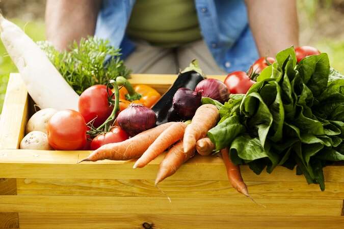 Дефіцит овочів. Яких продуктів може не вистачати?