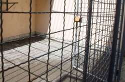 Окупанти змушували українських солдатів вчити вірш «Простите нас, родные россияне»