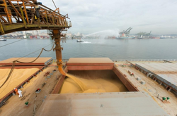 Турция получила список кораблей, которыми РФ вывозит из Украины зерно