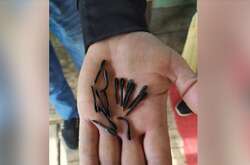 Рашисти обстріляли Сумщину артснарядами, начиненими флешетами (фото)