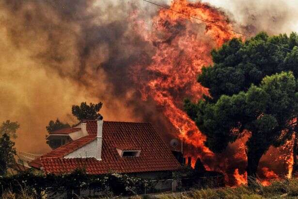 У передмісті Афін спалахнула сильна лісова пожежа (фото)