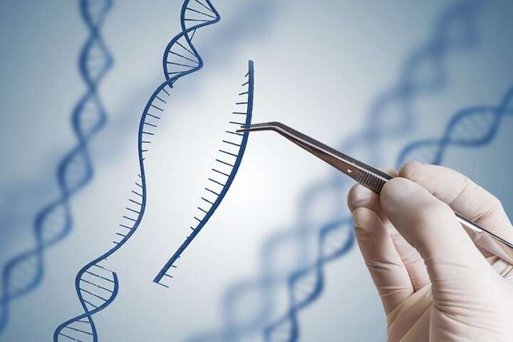 Лікарі зі США вилікували рак за допомогою генної інженерії