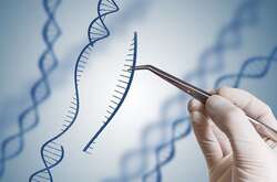 Відкриття у медицині дозволить контролювати рак