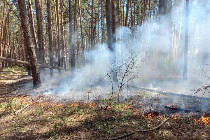На Харківщині через обстріли сталися масштабні пожежі в екосистемах (фото)