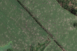  Украинская земля покрыта воронками от российских снарядов 