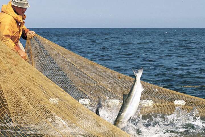 Росія заборонила японцям ловити рибу біля Курильських островів