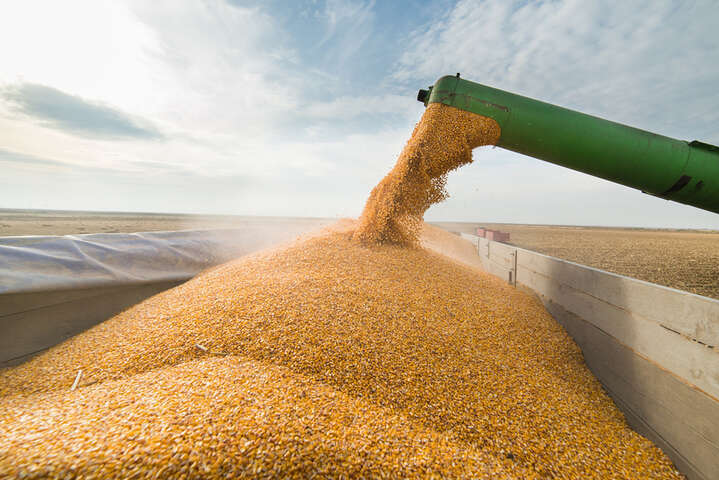 Политический тупик «зернового вопроса»