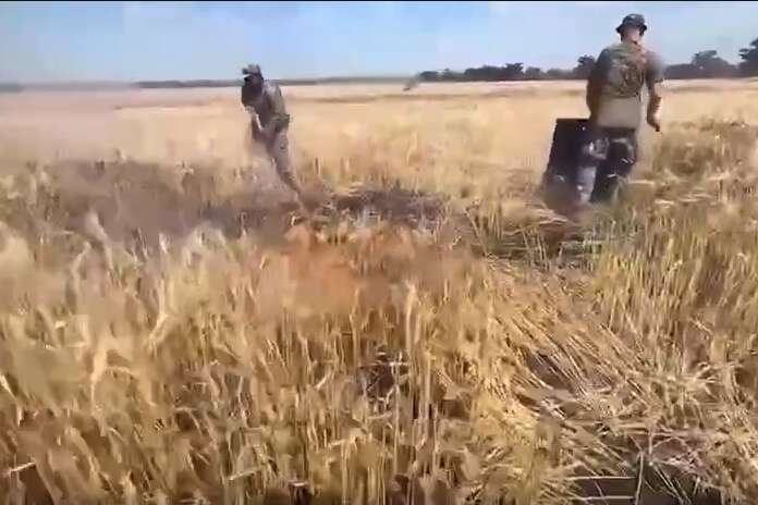Оккупанты обстреливают украинские поля зажигательными снарядами (видео)