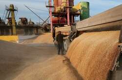 Україна розробила два маршрути для експорту зерна 