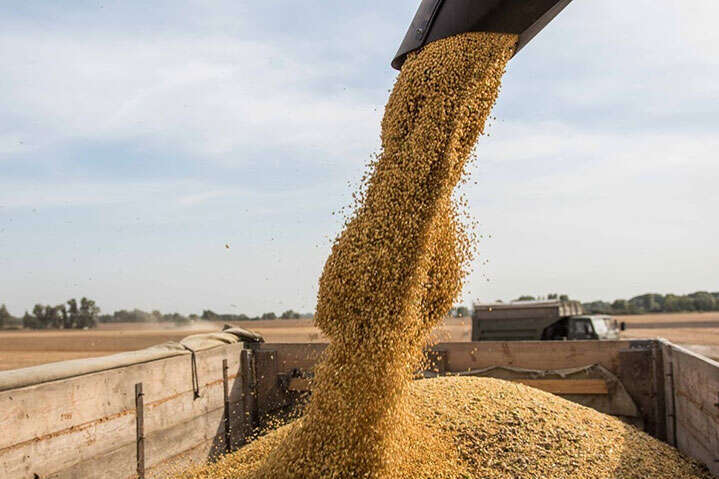 Німеччина заявила про намір допомогти Україні з експортом зерна
