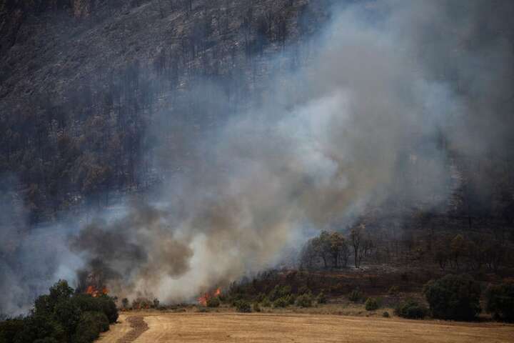 Іспанія потерпає від лісових пожеж: евакуйовано вісім сіл (фото)