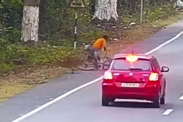 Хижак причаївся за деревом, дочекався, коли велосипедист під'їде ближче, а потім напав на нього - В Індії леопард напав на велосипедиста (відео)