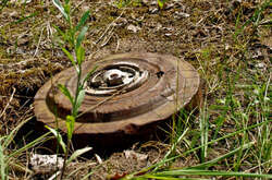 На Харківщині сім'я, тікаючи від окупантів, підірвалася на міні