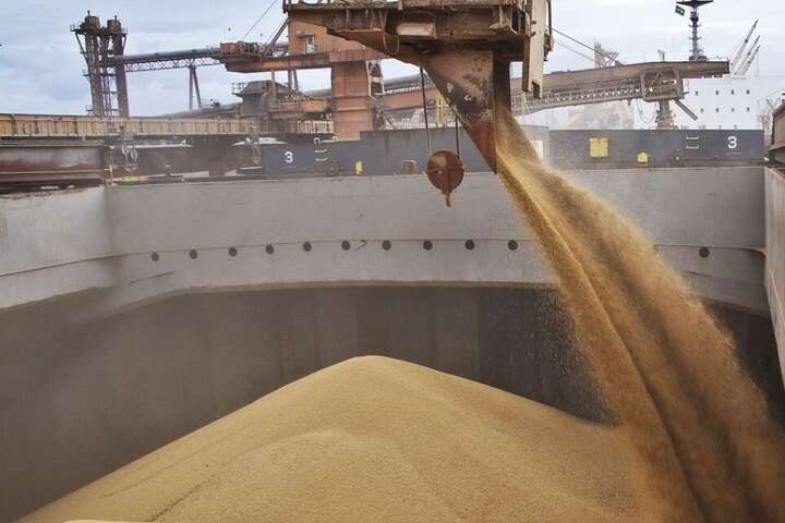 Скільки зерна вже вкрала РФ в Україні та куди вивозить