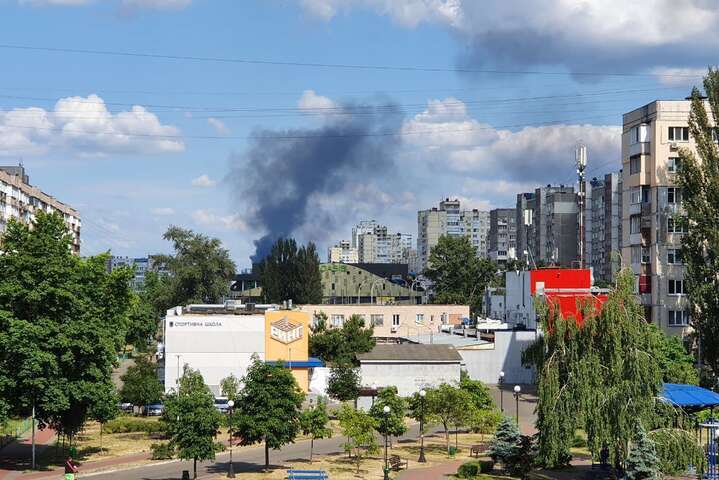 Масштабный пожар на севере Киева: что горит (фото, видео)
