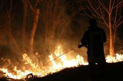 Туреччина може повернути смертну кару за підпал лісів