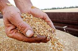 Британія готує програму, яка буде розпізнавати вкрадене в України зерно